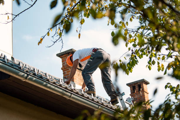 Best Chimney Flashing Repair  in Rogue River, OR